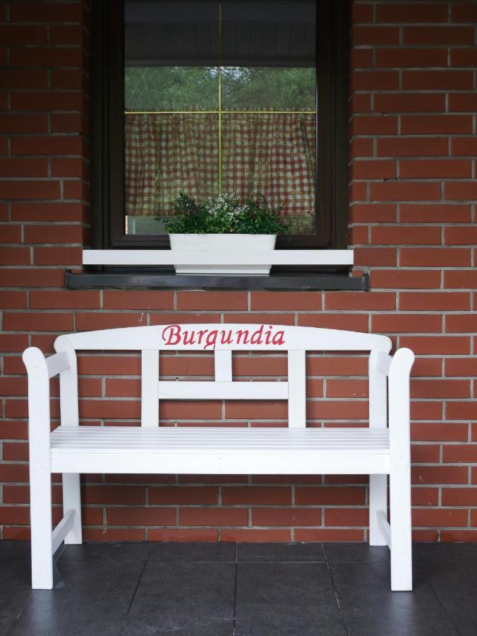 Niewinne Domki - Burgundia Żywiec 외부 사진